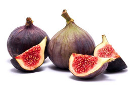 100+ Texas Blue Giant Fig Seeds For Garden Planting - USA - ! - $6.30