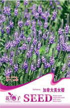 Fresh New Verbena Hastata Blue Vervain Perennial Flower Seeds Original Pack 30 S - £6.83 GBP