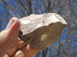 Coffinite Uranium Rock 7.8 Oz. 22,000cpm Uravan Colorado $20.00 + $12.80 S/H - £15.98 GBP