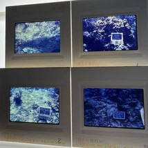 35mm Slide Photos Buck Island Reef National Monument Underwater Photos S... - $116.01 MXN