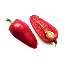 Lipstick Sweet Pepper 20 Seeds Fresh Garden USA Shipping - $11.00