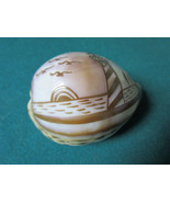 SEA SHELL 2 X 3 PAPERWEIGHT ENGRAVED LIGHT HOUSE - €21,94 EUR
