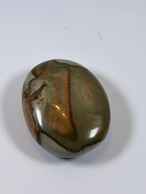 (#90) - POLYCHROME JASPER PALM STONE POLISHED - NEW - $187.57 MXN