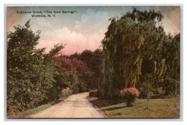 Entrance Drive to Glen Springs Watkins NY UNP Albertype DB Postcard W19 - £3.66 GBP