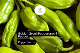 30 Seeds Golden Greek Pepperoncini – Mild Pepper, Capsicum annuum - $7.19