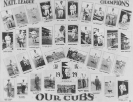 1929 CHICAGO CUBS 8X10 TEAM PHOTO BASEBALL PICTURE MLB COLLAGE - £3.94 GBP