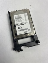 FUJITSU MAN3184MC 18.4Gb 10000Rpm 8Mb Buffer 80Pin Ultra160 Scsi 3.5&quot; HD... - $29.99