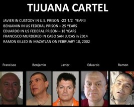 TIJUANA CARTEL 8X10 PHOTO MEXICO ORGANIZED CRIME DRUG CARTEL PICTURE - $4.94