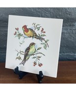 Vintage Ceramic Danschburg Tile  Illustrated Birds  on Branches 6 x 6 in... - £27.75 GBP