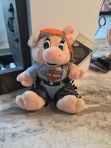 Vintage Harley Davidson Bean Bag Plush Pig Curly w/Chaps Harley Head Sca... - €10,20 EUR