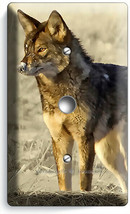 Wild American Coyote Snow Winter Prairie Light Dimmer Cable Wall Plate Art Decor - £8.01 GBP