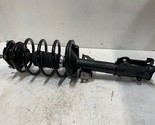 AAA Complete Strut With Springs and Mounts D172540 | 210705 - $109.24
