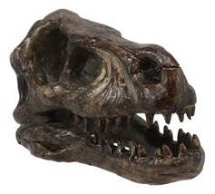 Faux Taxidermy Replica Velociraptor Dinosaur Head Fossil Small Skull Figurine - £29.65 GBP