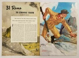 1950 Magazine Picture Bighorn Sheep &amp; Hunter Illustrated by Lealand R. G... - $10.57
