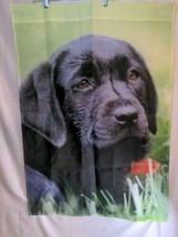 Black Labrador Retriever Puppy Outdoor Flag 27Wx 39L - £12.82 GBP