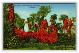 Flame Vine Flower Trees Bignonia Venusta Florida Postcard Unposted - £3.83 GBP