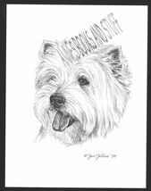 #345 WESTIE West Highland Terrier dog art print  Pen &amp; ink drawing * Jan... - $12.50