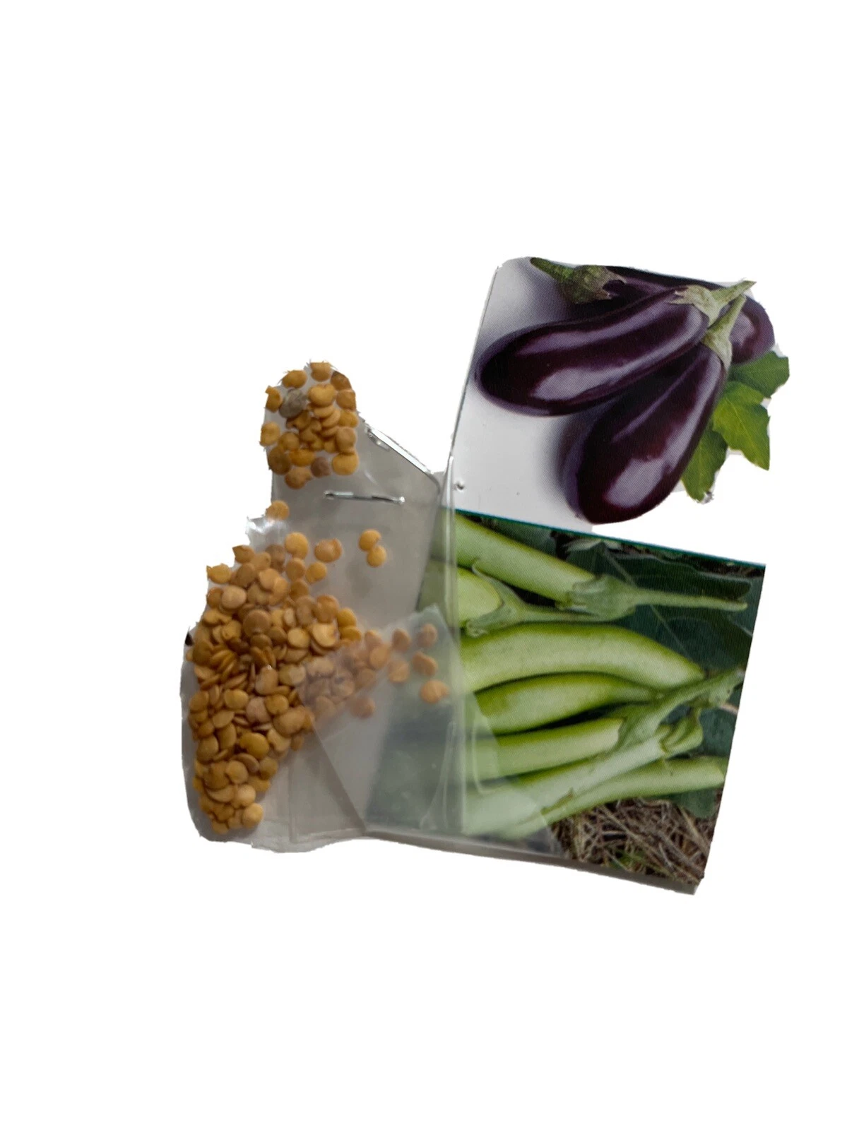 Purple And Green eggplant seeds - $8.35