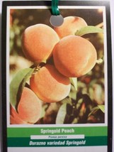 SPRINGOLD PEACH 4 6 FT TREE PLANT SWEET JUI plant plant plant (For Sprin... - $202.27