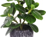 Artificial Plant Potted, Real Touch Artificial Oak Leaves Waterproof Fak... - $33.99