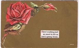 Valentine Postcard Red Rose Love&#39;s Young Dream - £2.32 GBP