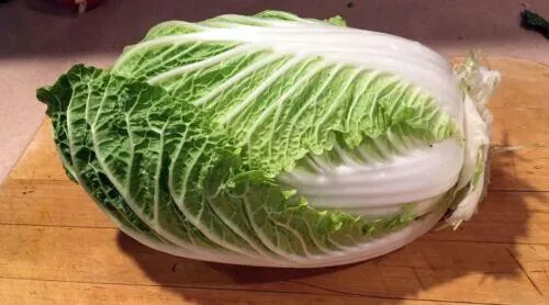 Chinese Michihili Cabbage Non Gmo 500 Seeds - $9.60
