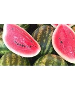 50+ Oh So Sweet Watermelon Seeds - $10.96