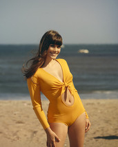 Barbi Benton Sexy 1960&#39;S Pin-Up In Yellow Swimsuit On Beach 16X20 Canvas Giclee - £54.81 GBP
