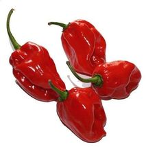 15 Pcs Red Habanero Pepper Seeds #MNHG - £11.45 GBP