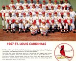 1967 ST. LOUIS CARDINALS 8X10 TEAM PHOTO BASEBALL PICTURE MLB - £3.94 GBP