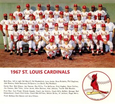 1967 ST. LOUIS CARDINALS 8X10 TEAM PHOTO BASEBALL PICTURE MLB - £3.94 GBP