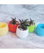 Colorful Succulent Planter, Self-Watering Pot for House Plants - £7.96 GBP
