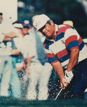 Lee Trevino 8x10 photo - Golfer Golf - $9.99