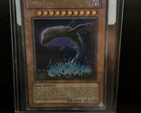 Earthbound Immortal Chacu Challhua - ANPR-EN017 - Ultimate Rare - 1st Ed... - $51.06