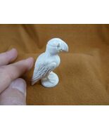(Puff-w7) little Puffin shed ANTLER figurine Bali detailed puffling bird - $140.13 CAD