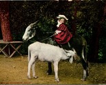Vtg Postcard Donkeys 1910s - How Do You Like It Habit Edward H Mitchell ... - $7.97