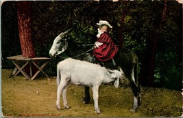 Vtg Postcard Donkeys 1910s - How Do You Like It Habit Edward H Mitchell Unused - £6.27 GBP