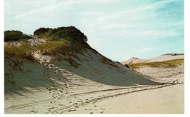 Vintage Sand Dunes outer Cape Cod Massachusetts Postcard landscapes - £1.57 GBP