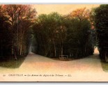 Les Avenues des Aigles et des Tribunes Chantilly France UNP DB Postcard Y12 - $4.90