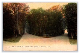 Les Avenues des Aigles et des Tribunes Chantilly France UNP DB Postcard Y12 - £3.85 GBP