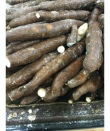 Fresh Yuca Root (4 LBS) - £20.99 GBP