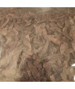 New Fresh Seeds Siebold Maple Tree Seeds Acer Sieboldianum - €13,14 EUR