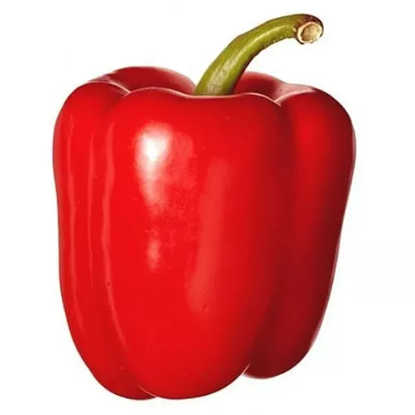 Fresh 30 Seeds Sweet Pepper Big Red Bell Open Pollinated - £7.06 GBP