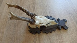 vintage Real  Skull with Horns, white bone, animal skull. Original 1970-... - $35.64