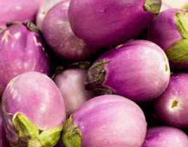 Eggplant Rosa Bianca 50 Seeds Heirloom Seeds Open Pollinated Nongmo Fresh - £10.17 GBP