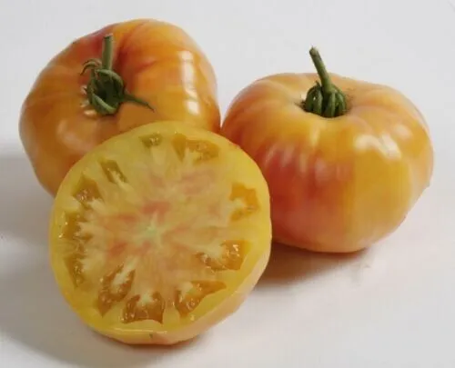 50+ Seeds Armenian Tomato Planting Tomatoes Food Garden - £5.75 GBP