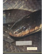 The Encyclopedia of Reptiles and Amphibians 4th Vol.160 illustrations, 1... - $4.81 CAD