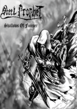 STEEL PROPHET Shallows of Forever FLAG CLOTH POSTER BANNER Power Metal - $20.00