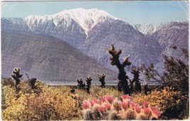 Postcard San Jacinto Mountains Near Palm Springs California - £3.10 GBP