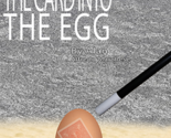 THE CARD INTO THE EGG (Gimmicks and Online Instructions) - Trick - $39.55